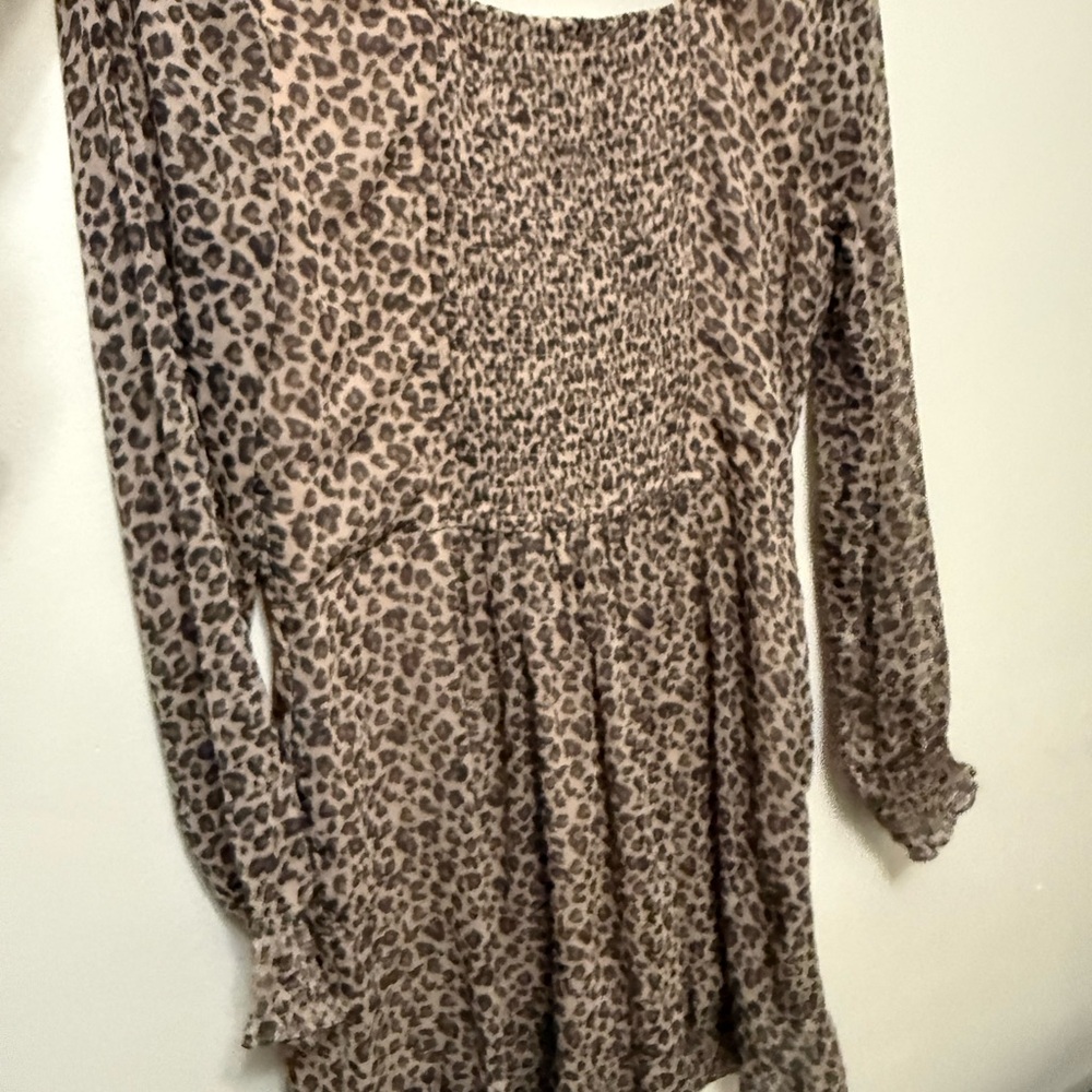 American Eagle Outfitters Leopard Print Dress